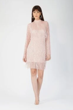 Elena Embellished Pink Tassel Mini Dress 10 Elena Embellished Pink Tassel Mini Dress -Lace & Beads AliyaElena 1