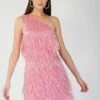 Amarato Embellished Pink Fringe Mini Dress -Lace & Beads Amarato 5