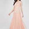 Lilith Floral Embellished Maxi Dress In Blush Pink -Lace & Beads FairyTaleDresses 21 edited