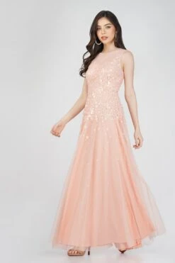 Lilith Floral Embellished Maxi Dress In Blush Pink