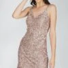 Greyson Mink Sequin Mini Dress -Lace & Beads Greyson 15