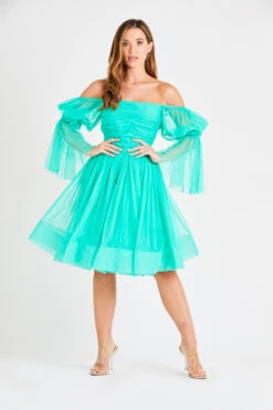 Amora Green Tulle Dress