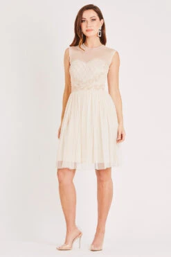 Cecilia Pearl Embellished Skater Dress -Lace & Beads LACE BEADS 2205