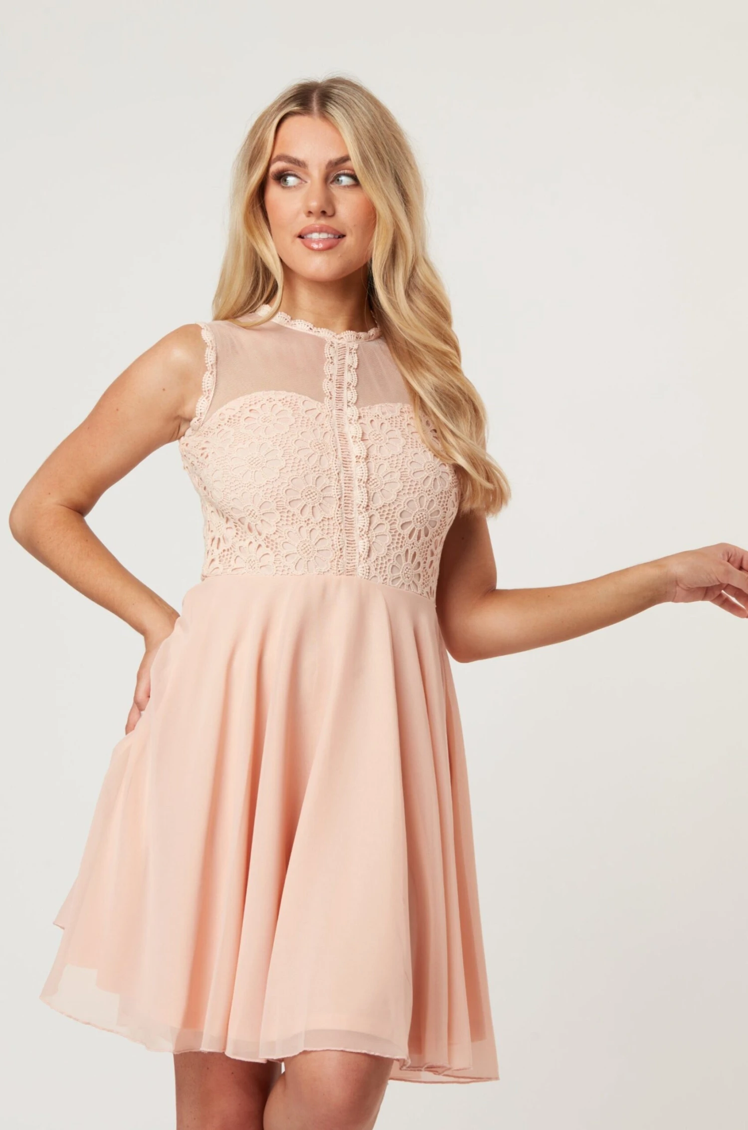 Carlie Blush Tulle And Lace Skater Dress 3 Carlie Blush Tulle And Lace Skater Dress