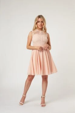 Carlie Blush Tulle And Lace Skater Dress 18 Carlie Blush Tulle And Lace Skater Dress -Lace & Beads LaceandBeads1473