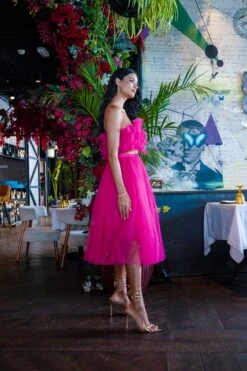 Nyra Tulle Top In Hot Pink -Lace & Beads NyraBrightPink 3