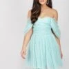 Sydney Tulle Polka Mini Dress In Mint