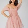 Sydney Light Pink Tulle Mini Dress -Lace & Beads sYDNEYMINI 1 Copy