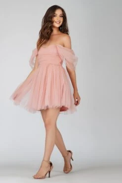 Sydney Light Pink Tulle Mini Dress -Lace & Beads sYDNEYMINI 4 Copy